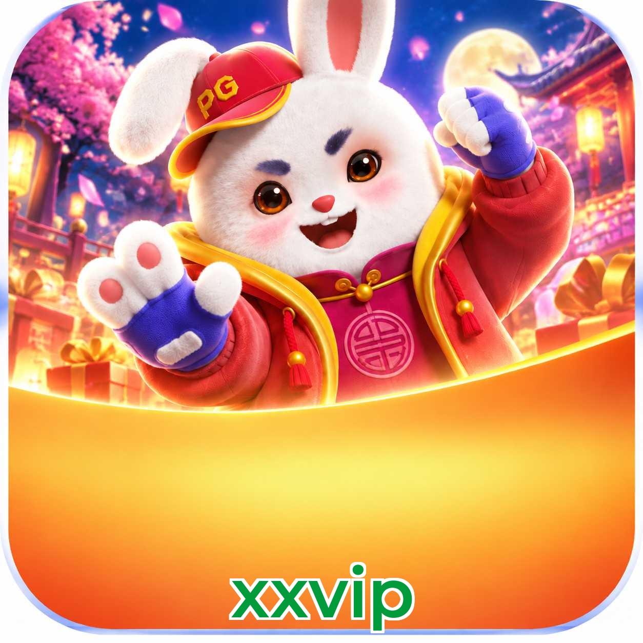 xxvip Performance Tests